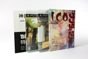 ICO/ワンダと巨像 Limited BOX - image 1 -