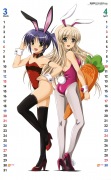 Bunny-Girl Calendar 2011 - image 3 -
