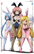 Bunny-Girl Calendar 2011 - image 4 -