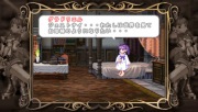  プ リンセスクラウン PSP - image 2 -